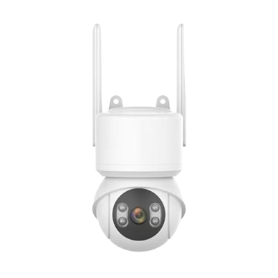 CA-31001 Dome Network Camera